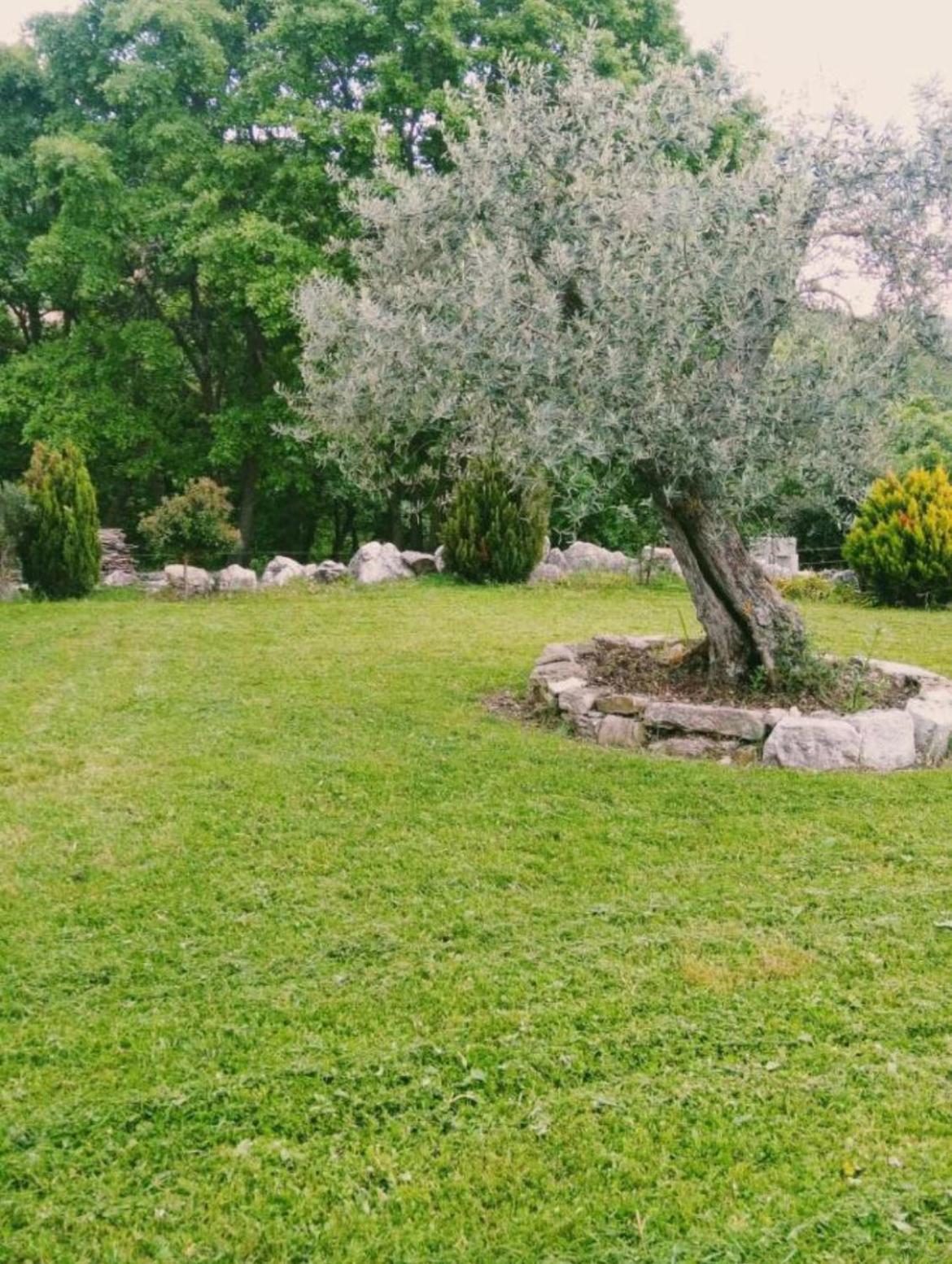 Residence San Martino Appartamento Mini Busso Bagian luar foto